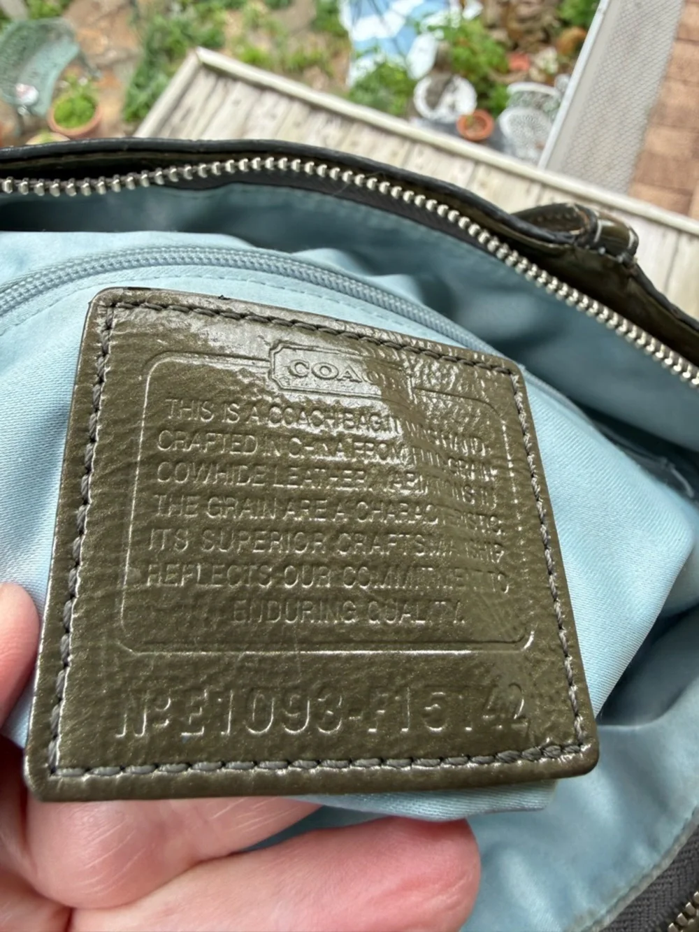 Green Coach‎